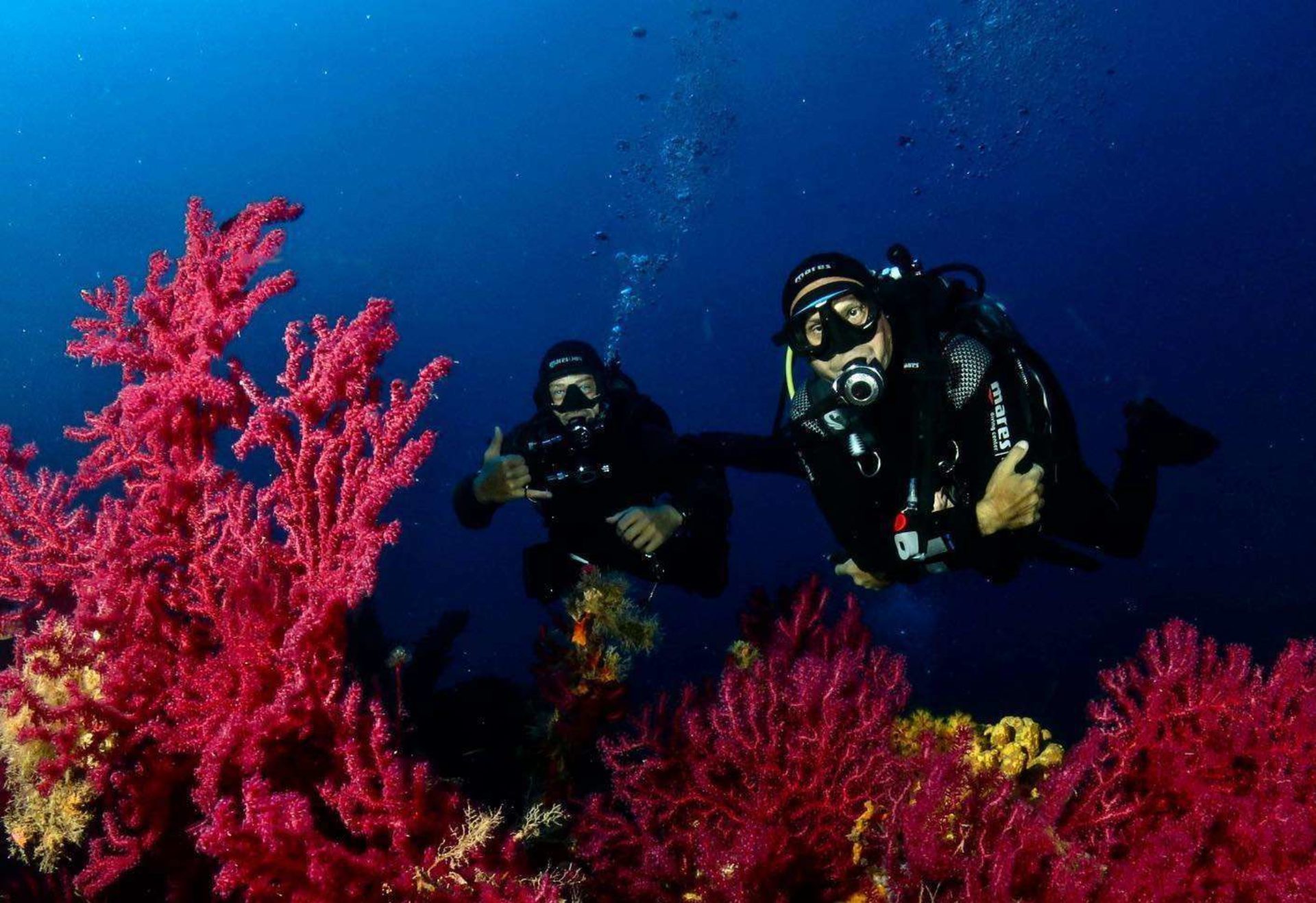 Immersioni subacquee Portoferraio