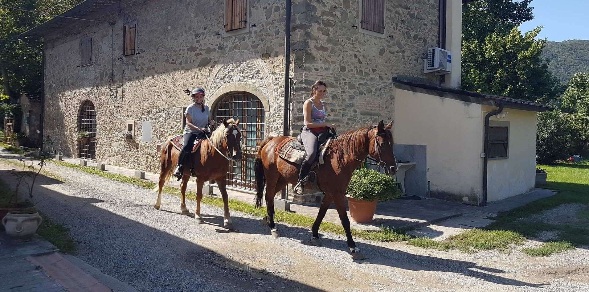 passeggiate-a-cavallo-firenze-a-partire-da-30-freedome
