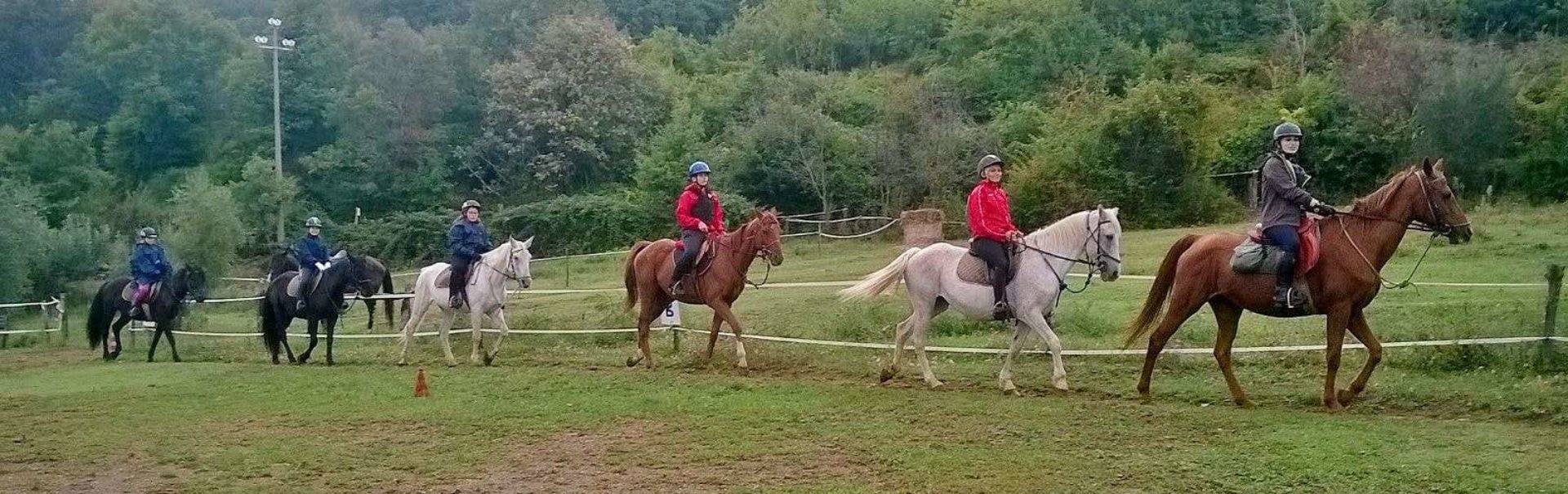 Passeggiate a cavallo Grosseto