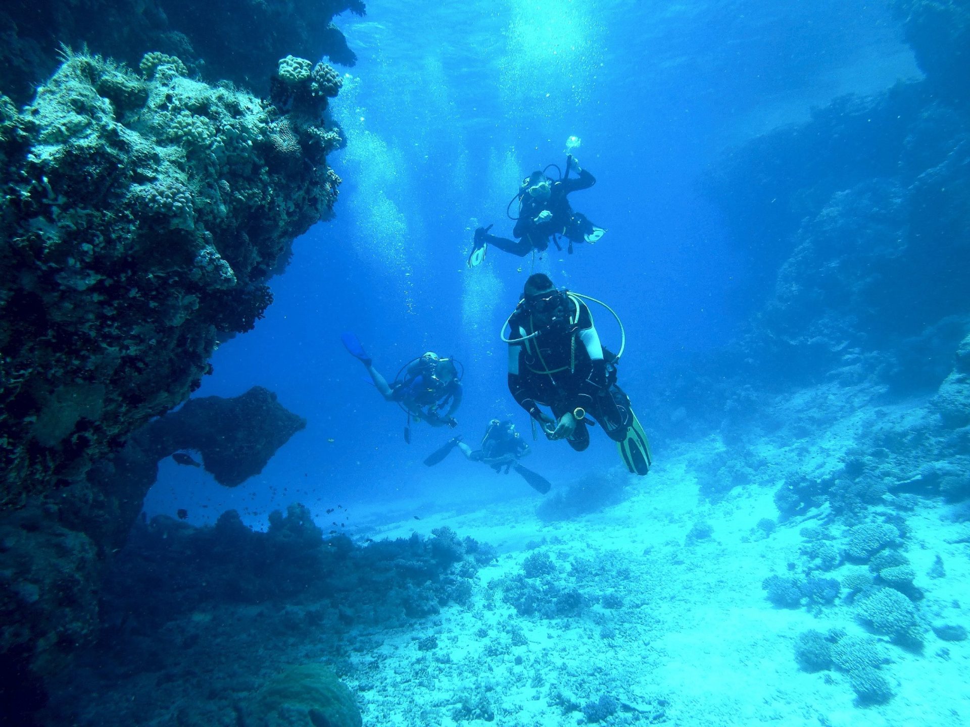 Immersioni subacquee La Maddalena