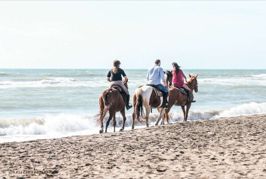 Passeggiata a cavallo in spiaggia