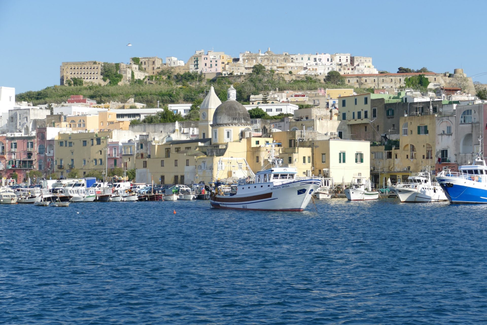 Boat Tours Ischia