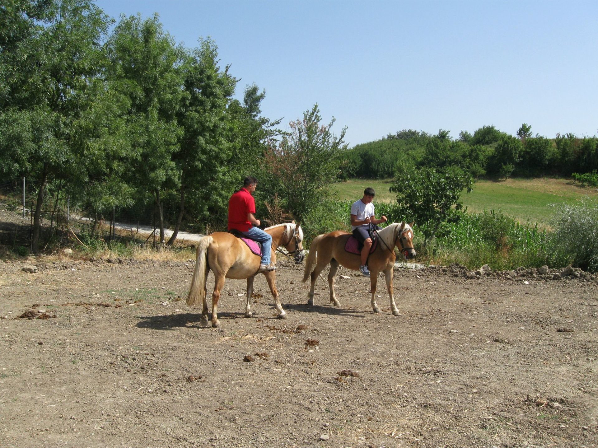 Horse Riding Campania
