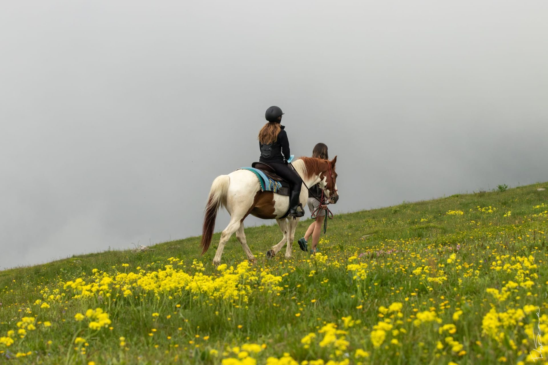 Horse Riding Po Valley