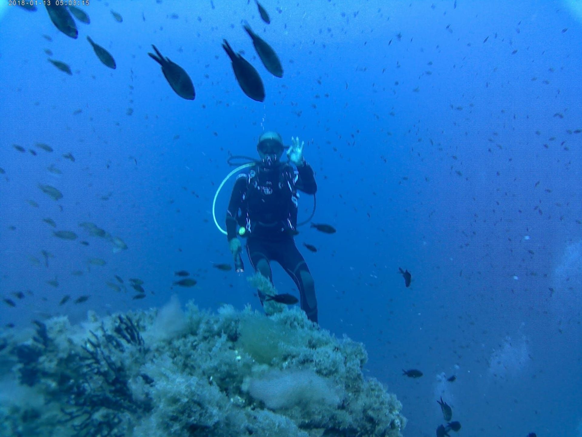Scuba Diving Aranci Gulf