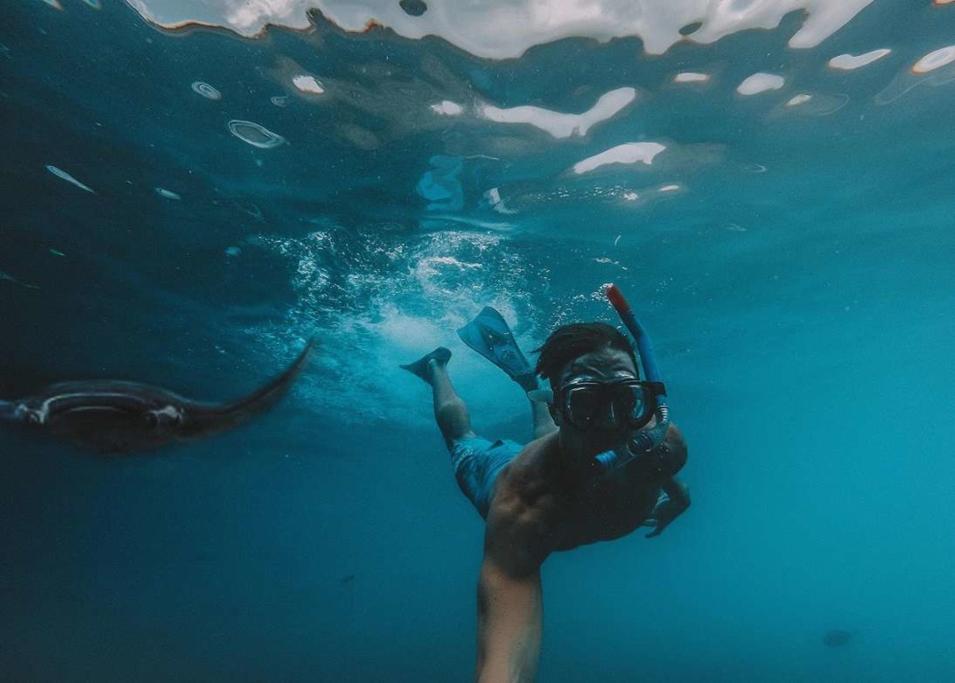 Snorkeling Ischia
