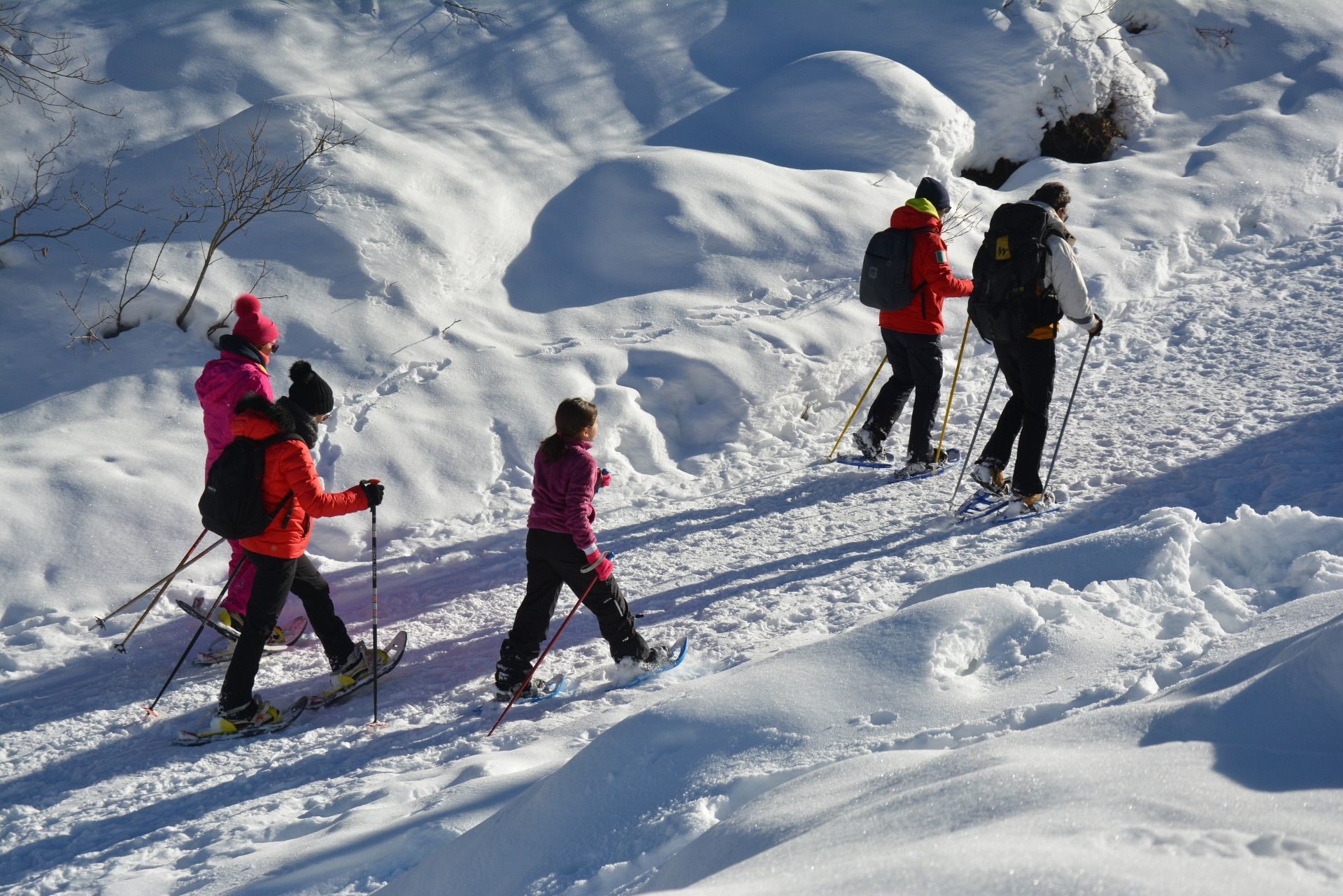 Snowshoeing Valtournenche