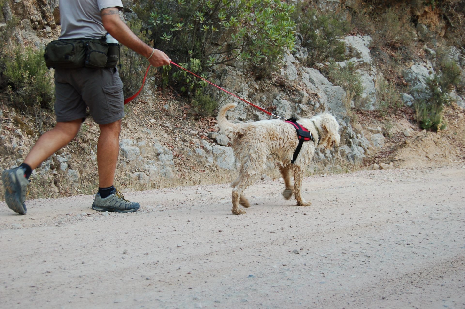 Dog Trekking Sardegna