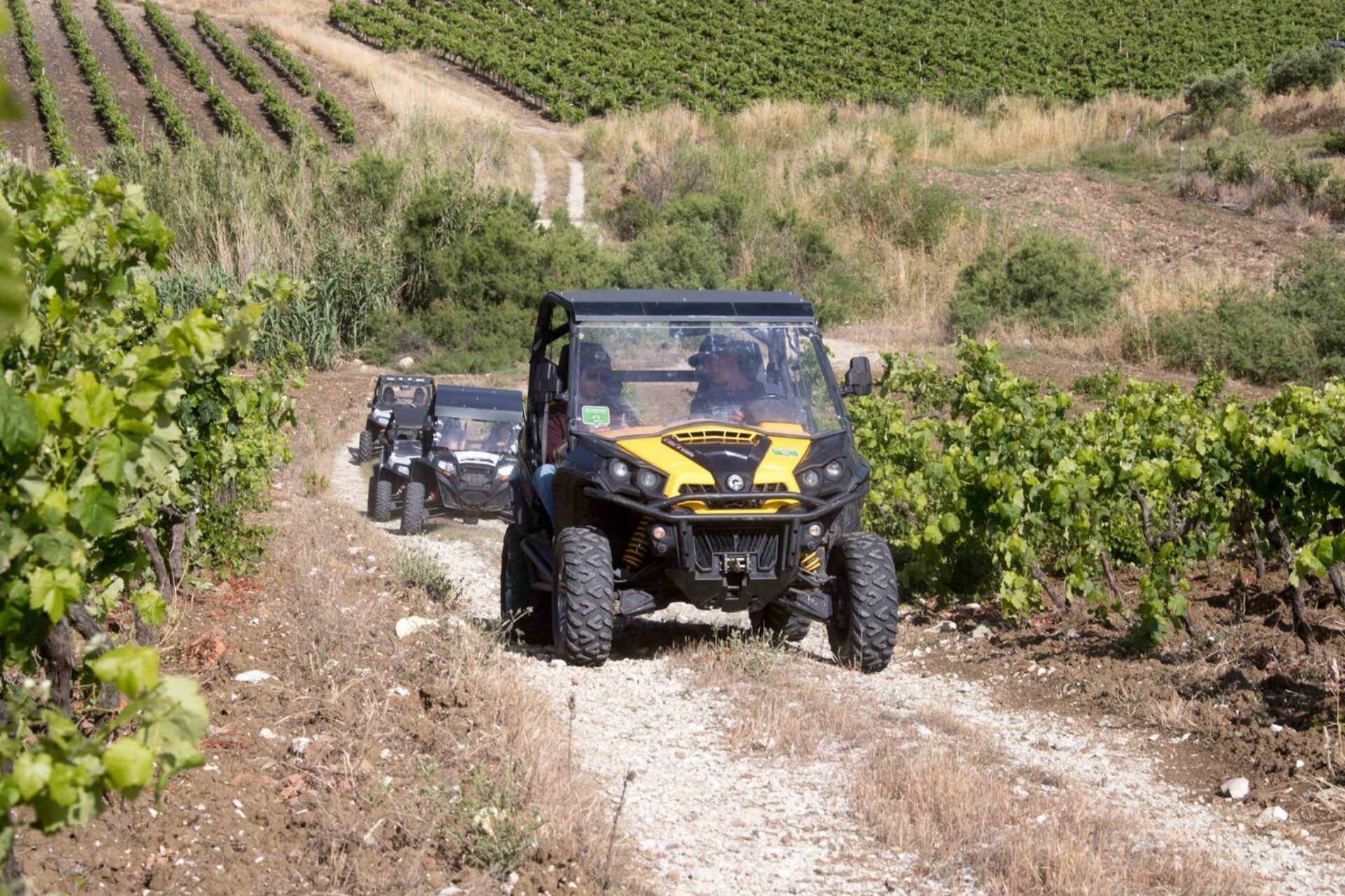 Buggy tours Sicily