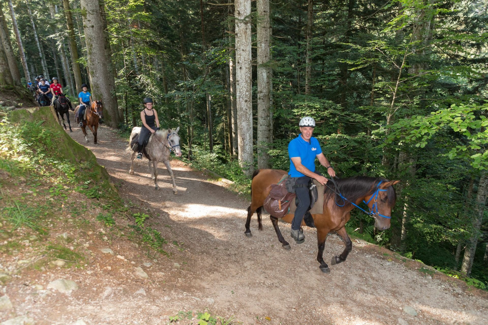 Horse ride lessons Piedmont