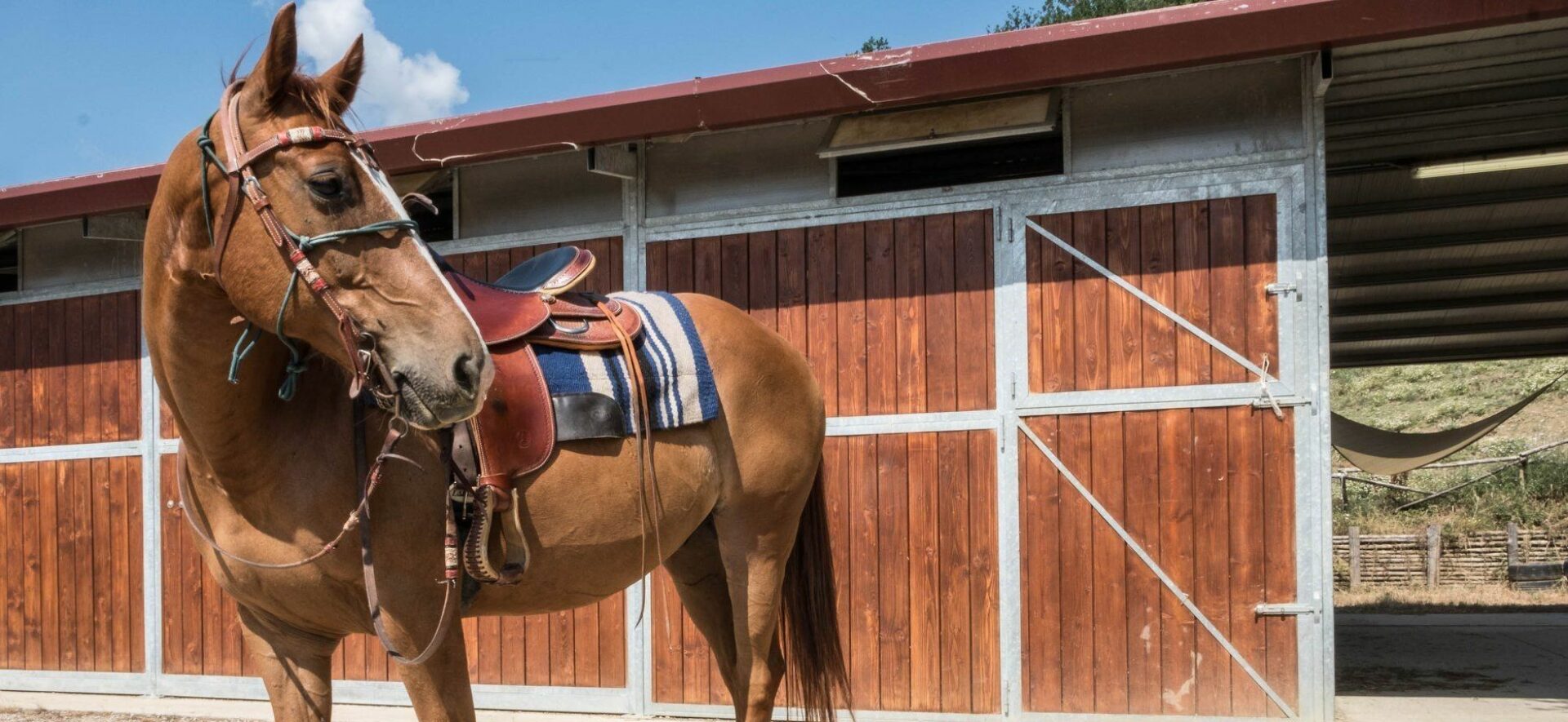 Horse ride lessons Umbria