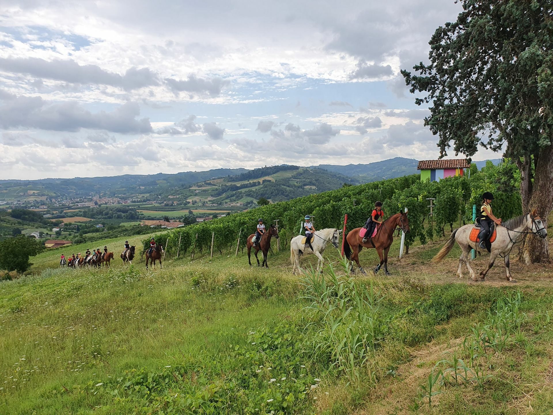 Passeggiate a cavallo Asti