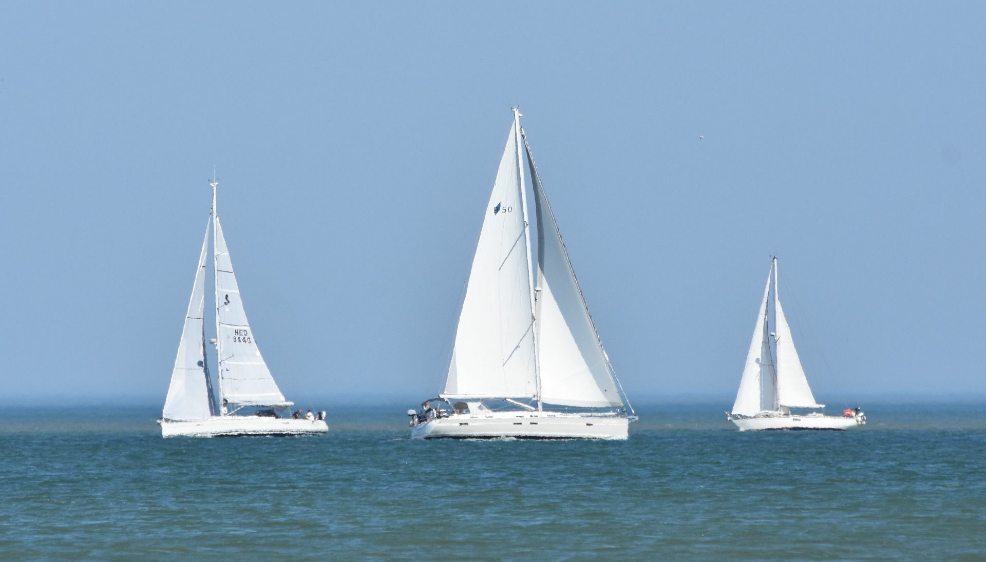 Sailing course Liguria