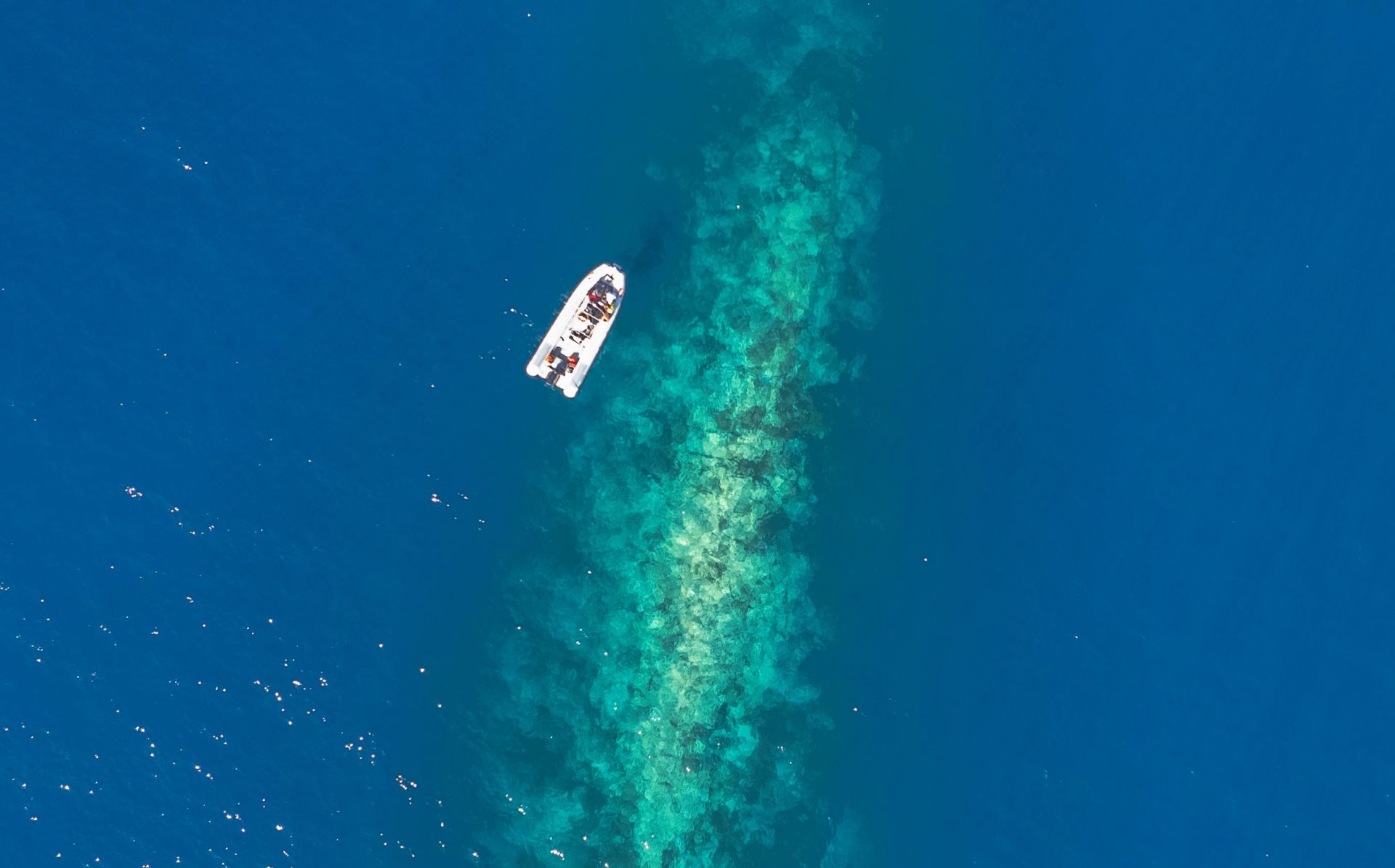 Snorkeling Ponza Starting From 0 Freedome snorkeling-ponza-starting-from-0-freedome