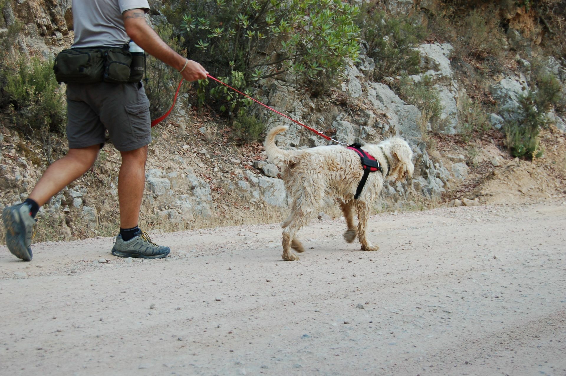 Dog trekking Sardinia