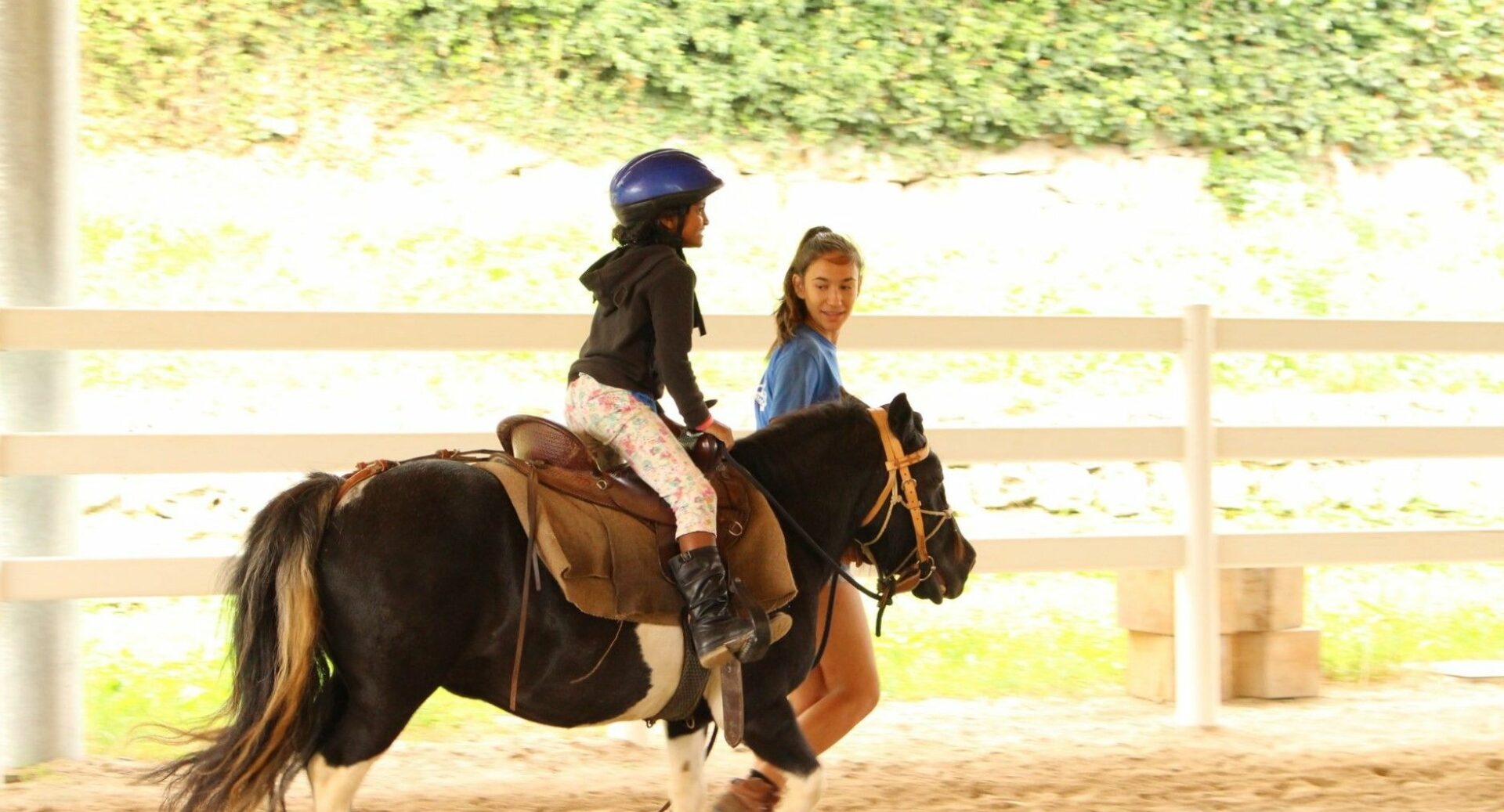 Horse ride lessons Trento
