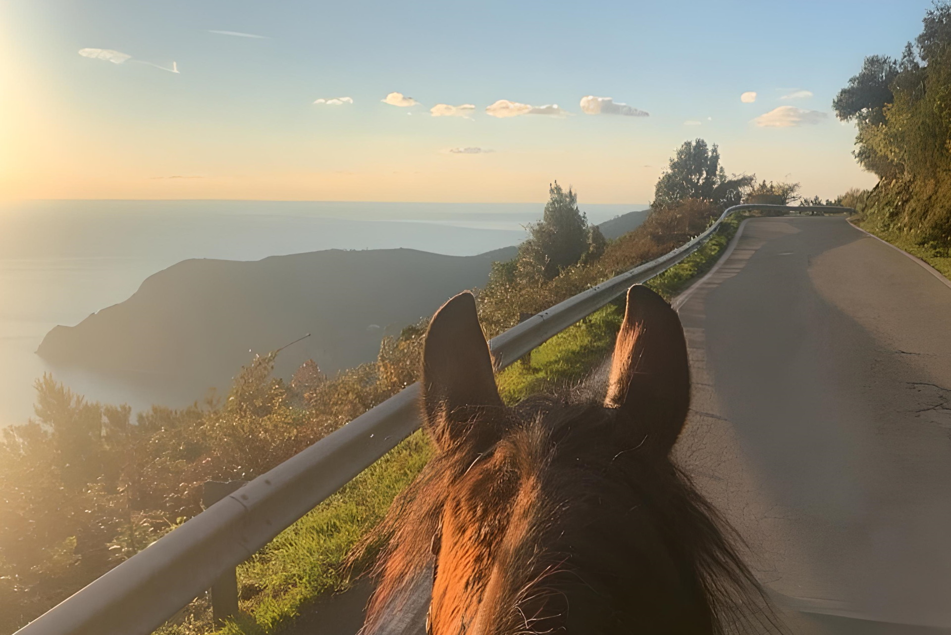 Passeggiate a cavallo Liguria