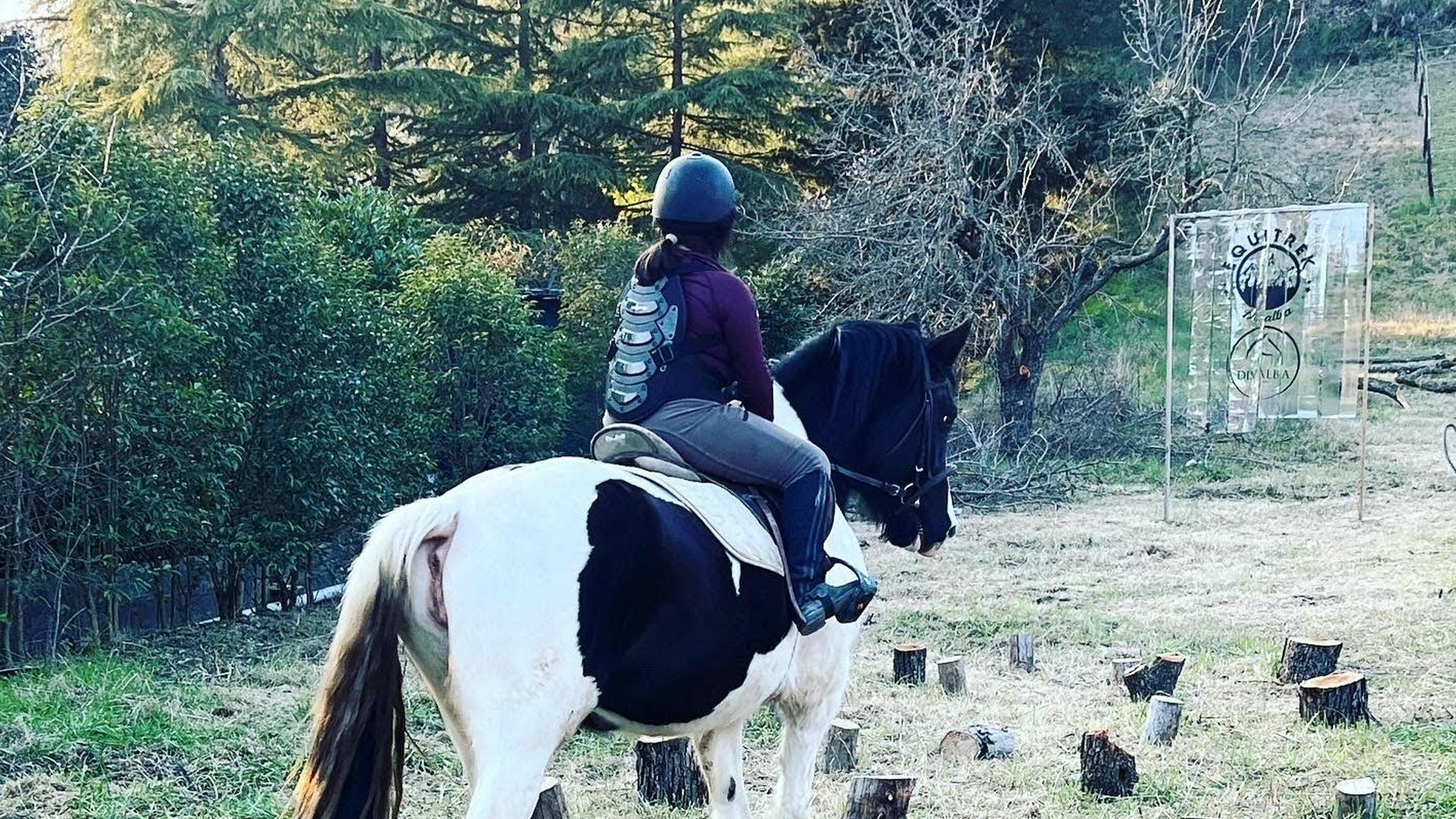 Horse ride lessons Marche