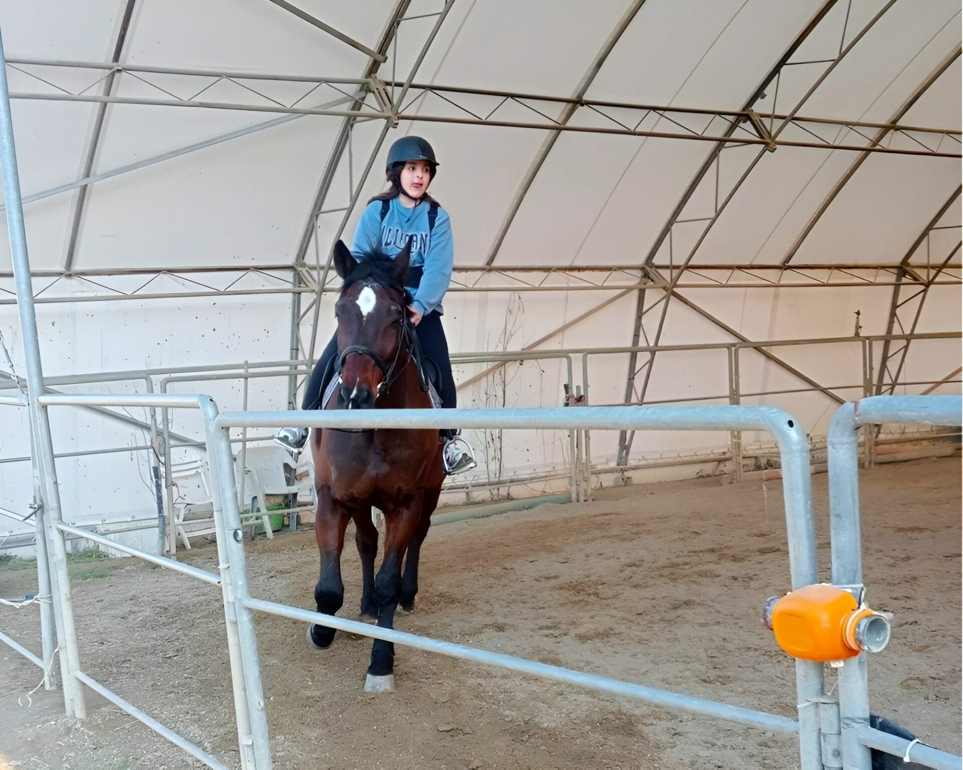 Horse ride lessons Rimini