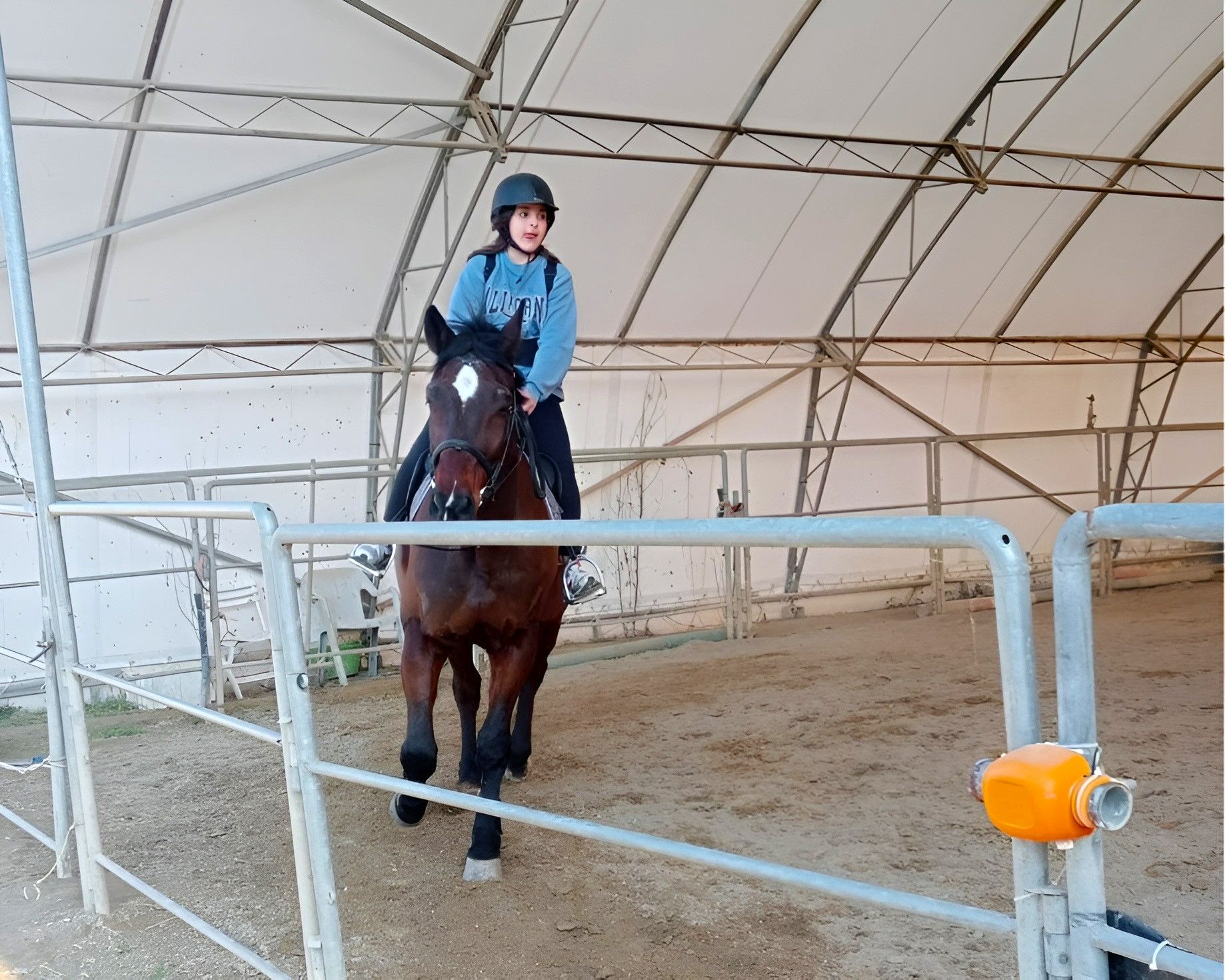 Rimini Ridde Horse ride lessons Rimini | Starting from €0 | Freedome