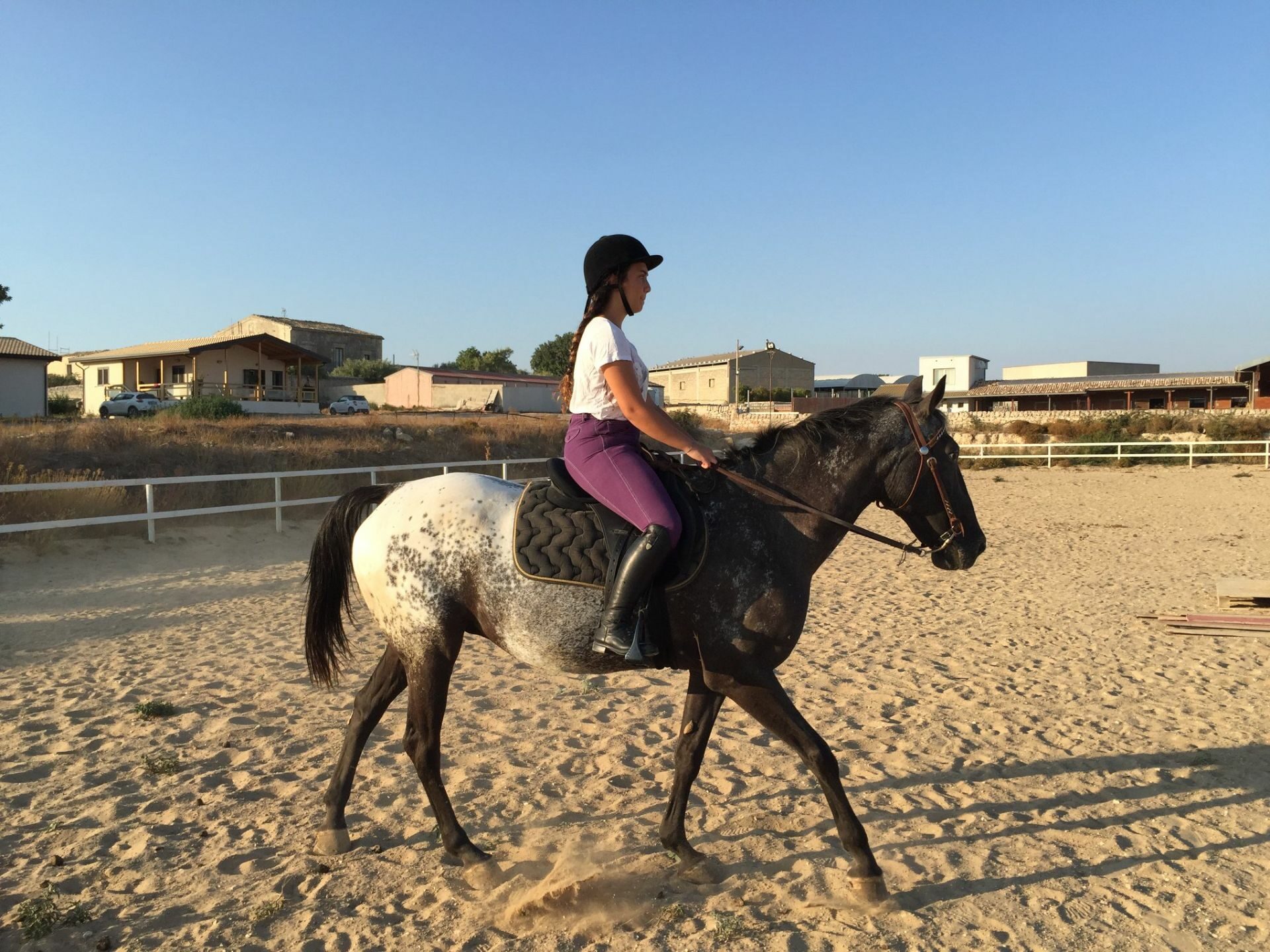 Horse ride lessons Ragusa