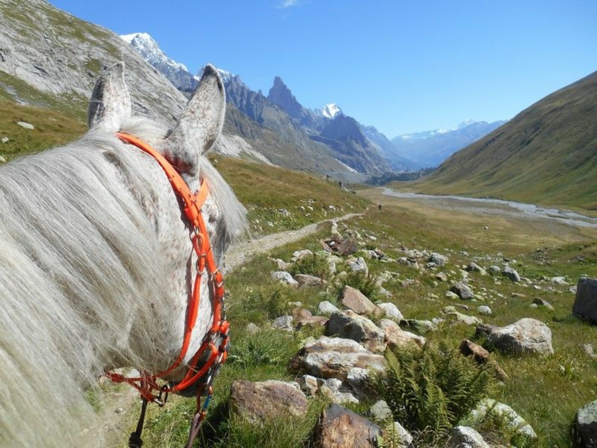 Horse Riding Valle d’Aosta