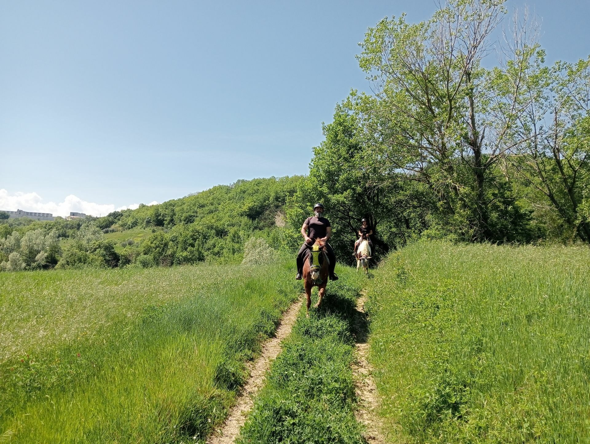 Horse ride lessons Abruzzo