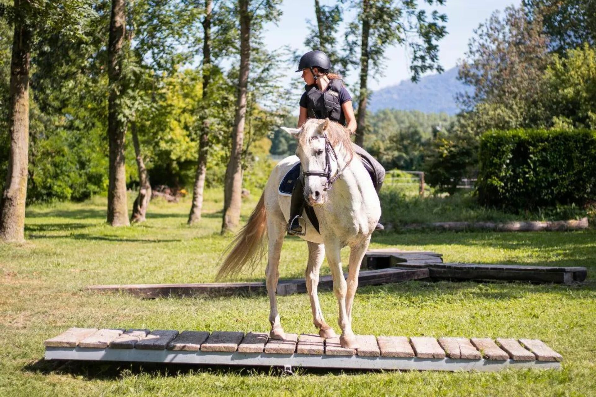Horse ride lessons Novara