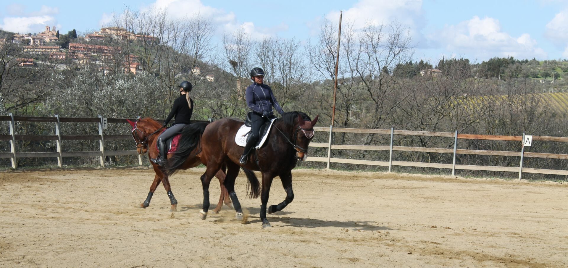 Horse ride lessons Perugia