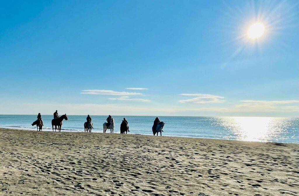 passeggiata a cavallo sulla spiaggia di Ostia