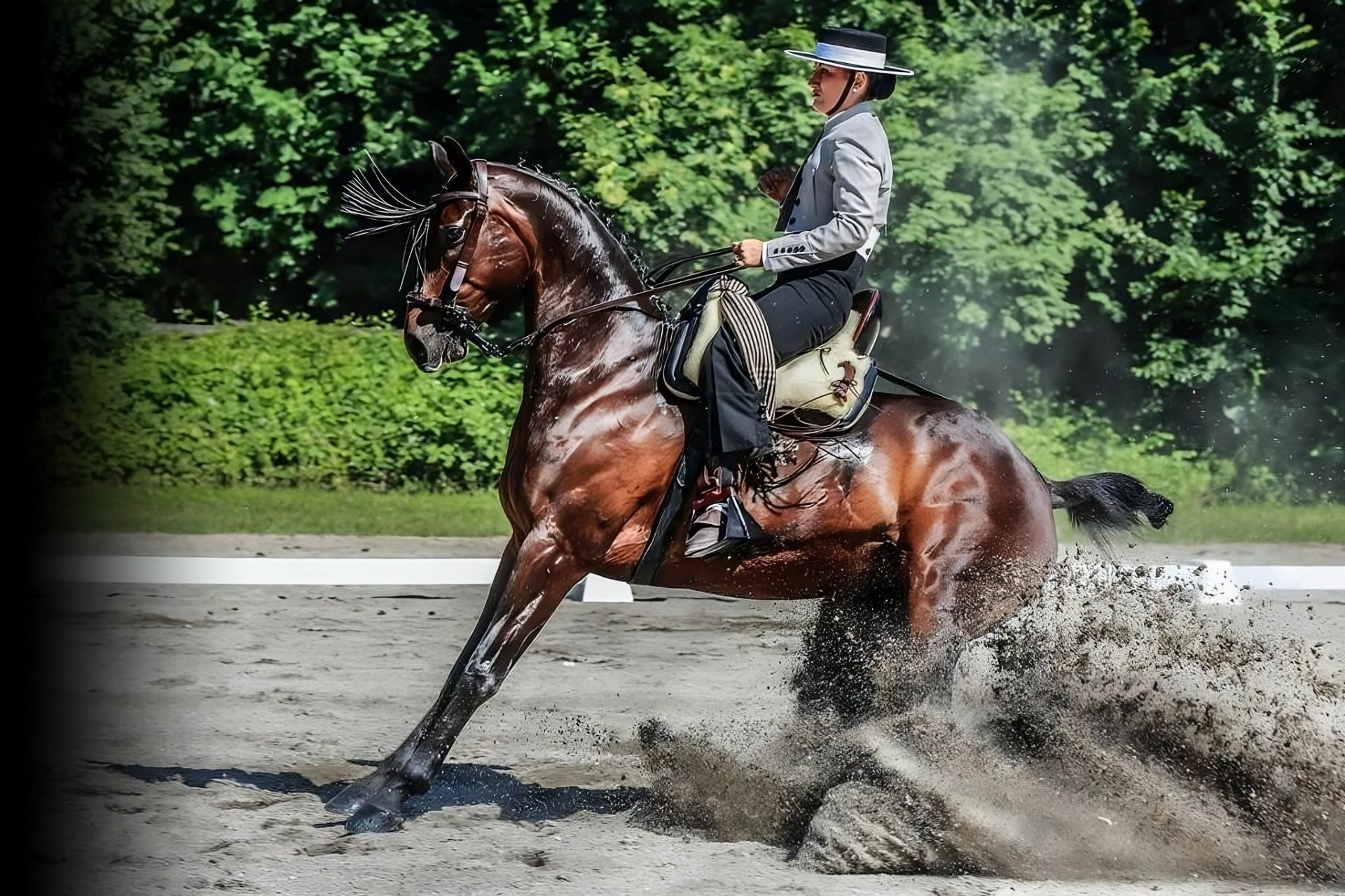 Horse ride lessons Bergamo