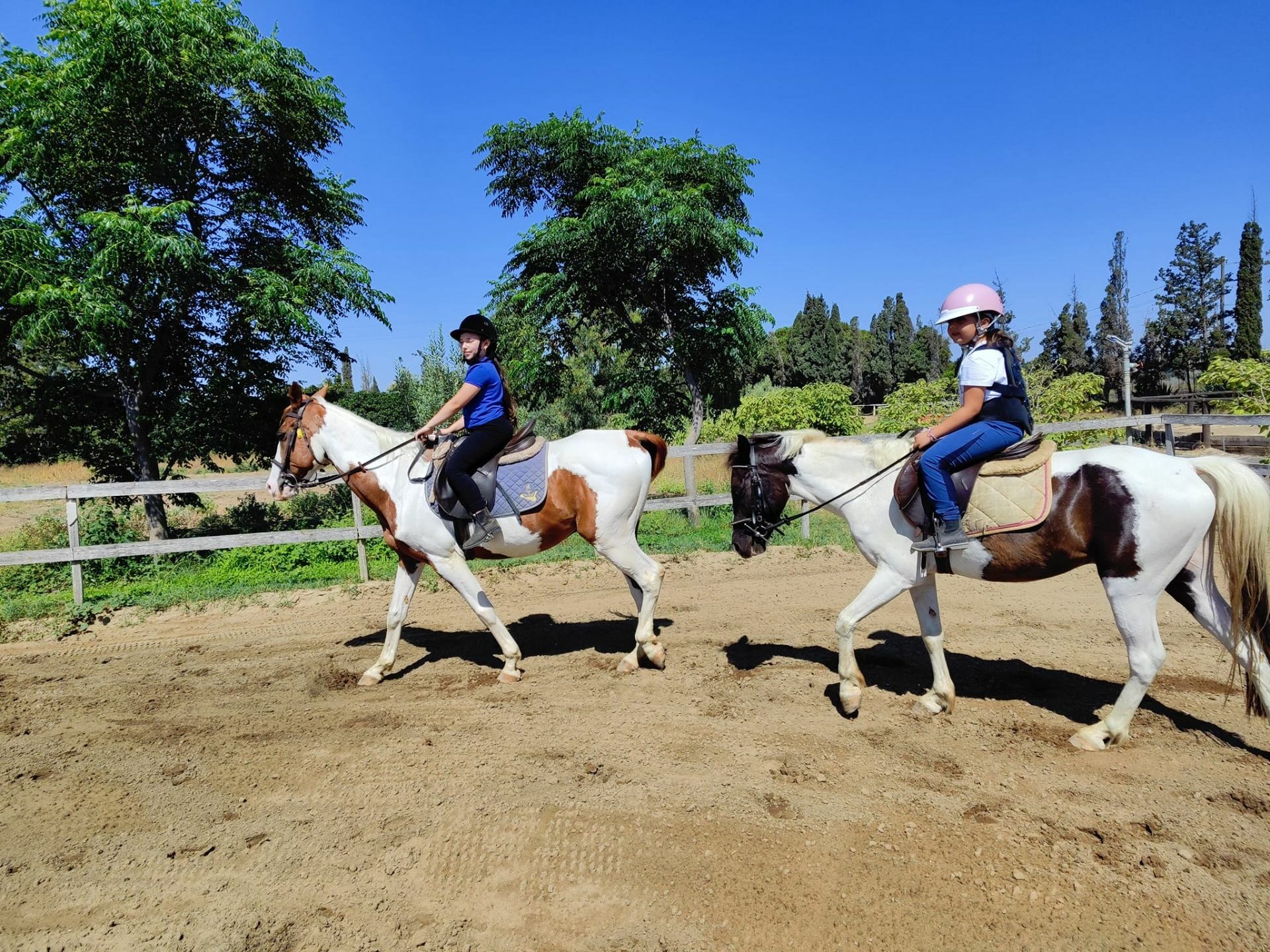 Horse ride lessons Catania