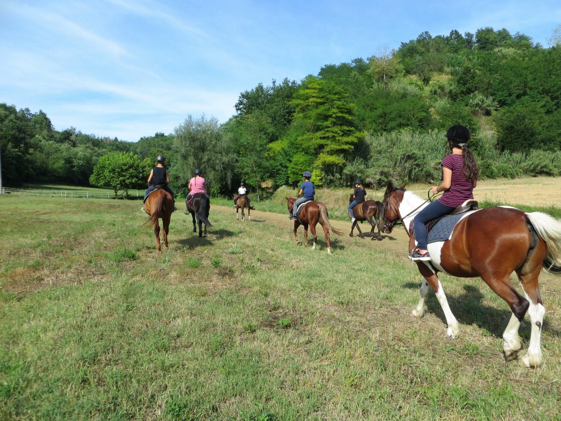 Passeggiate a cavallo Monferrato
