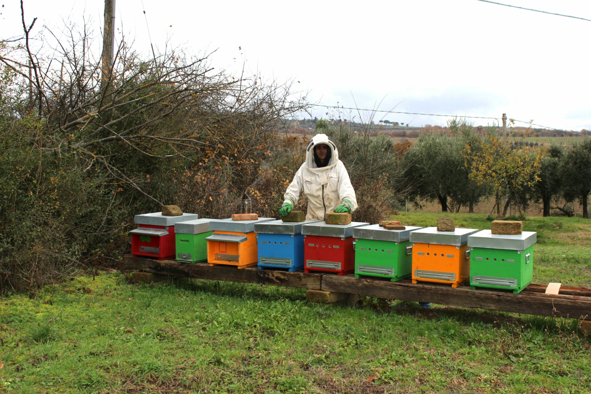 Beekeeping Tuscany