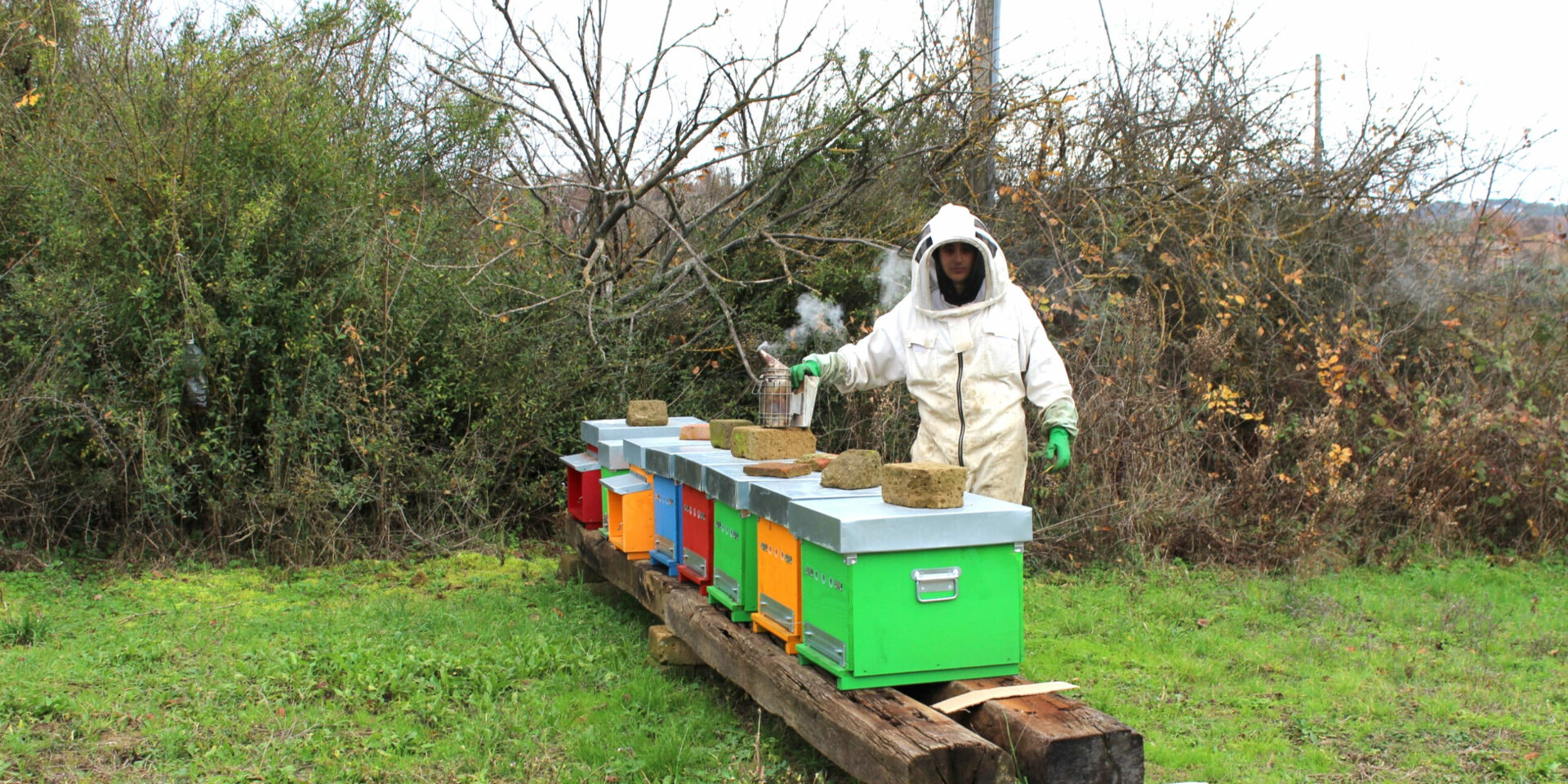 Beekeeping Umbria