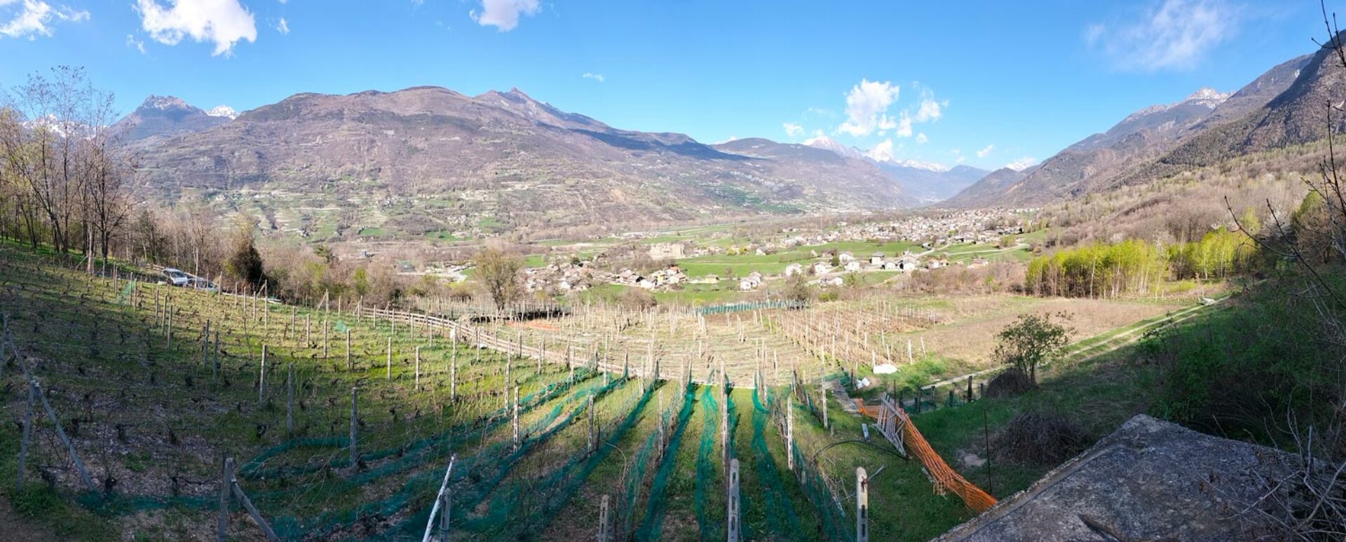 Degustazione vini Aosta