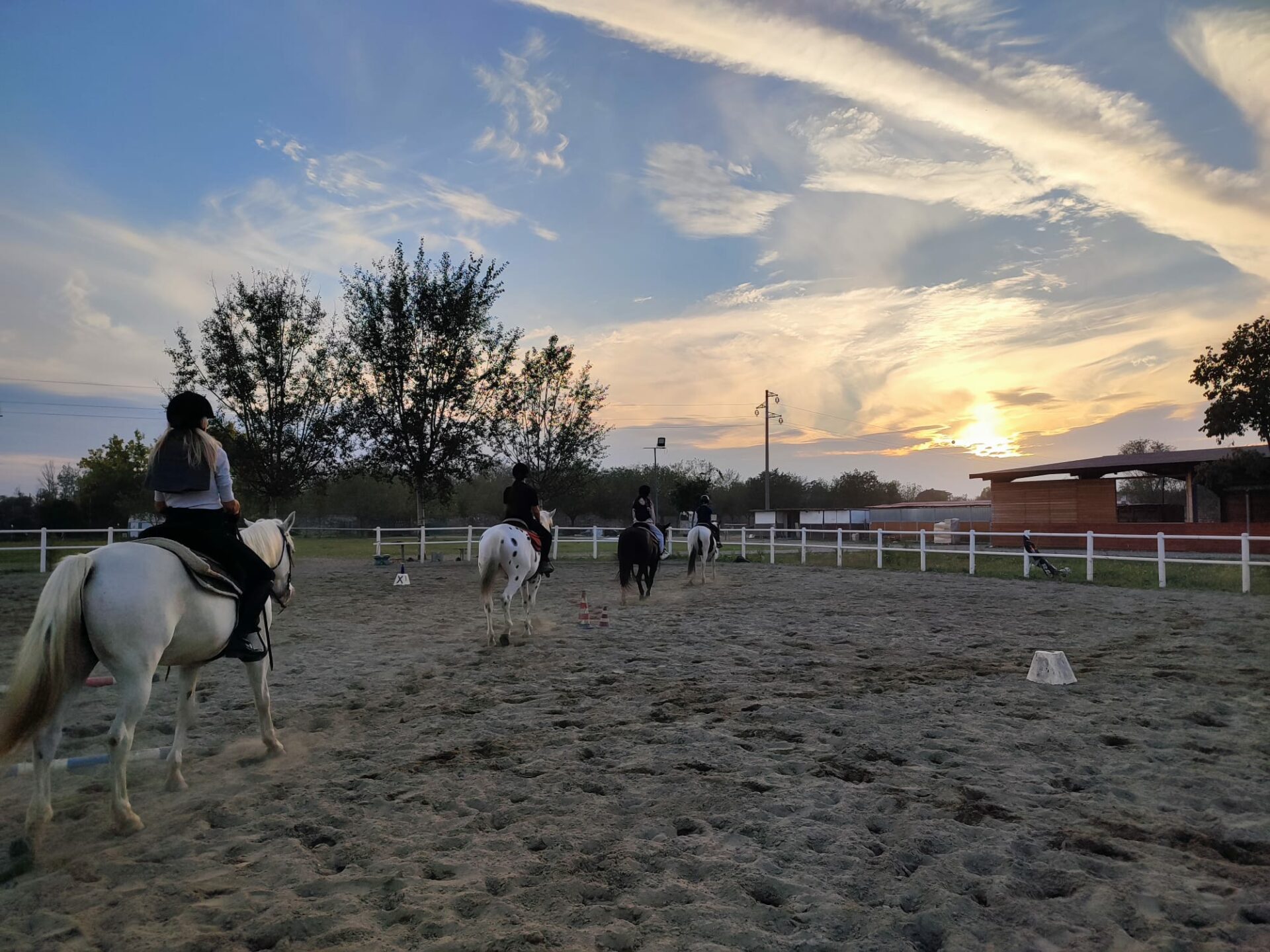 Horse ride lessons Veneto