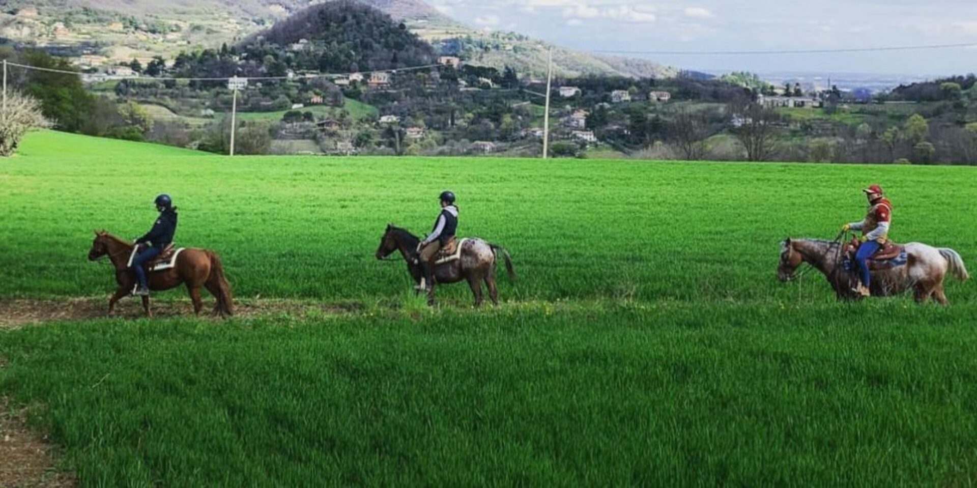 Horse Riding Colli Euganei