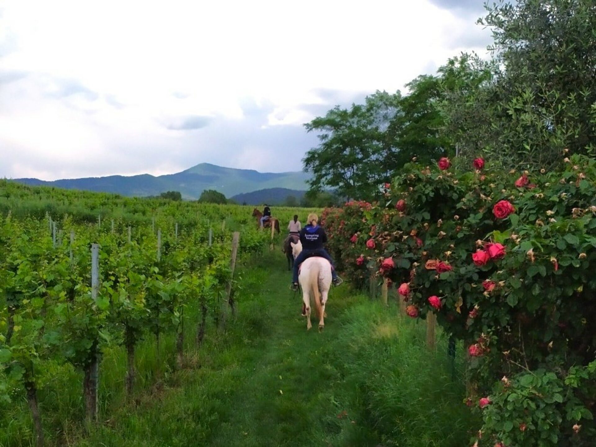 Horse Riding Franciacorta