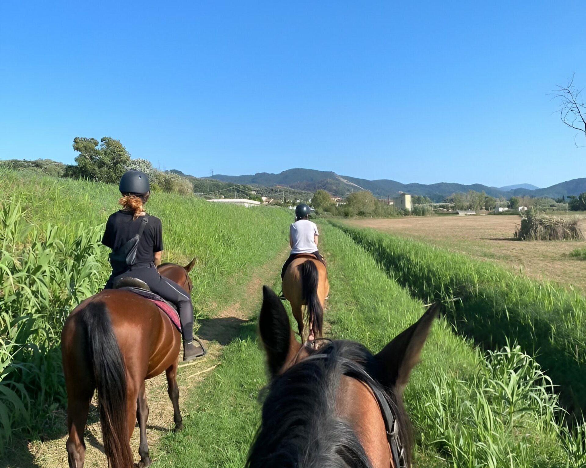 Passeggiate a cavallo Lucca