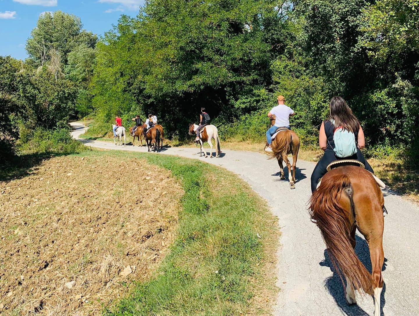 Collana Con Ciondolo Smaltato A Forma Di Cavallo BONSNY | Leggera, Senza Nichel, Catena 45 Cm | Regalo Per Ragazze E Bambine