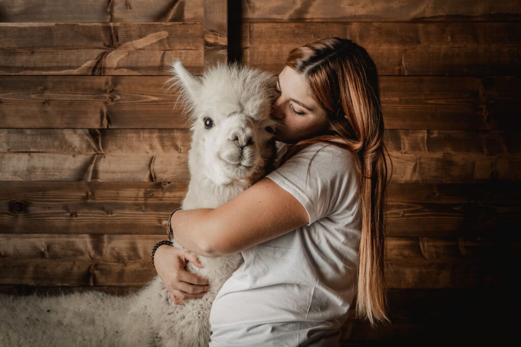 ragazza abbraccia alpaca bianco