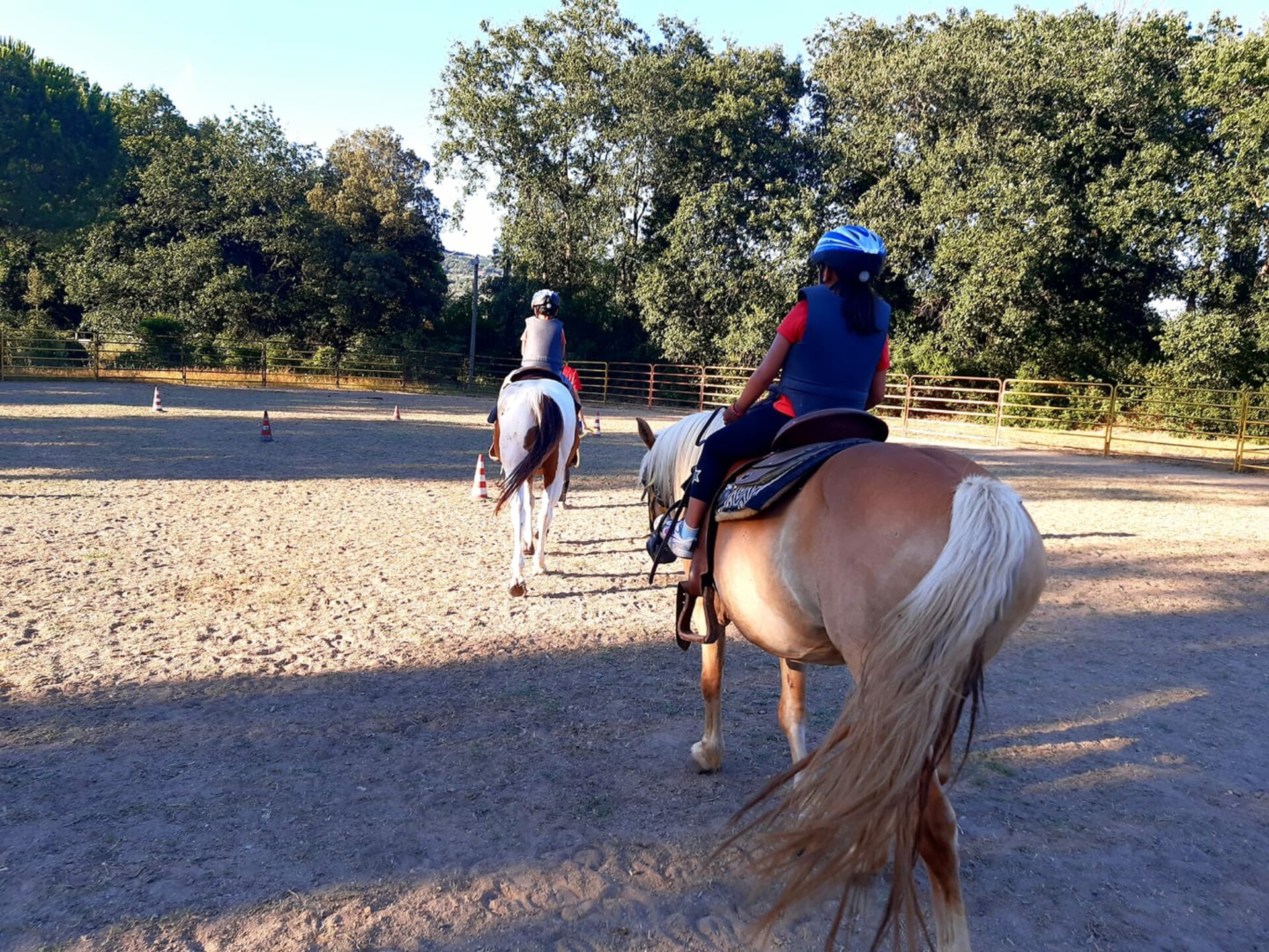 Horse ride lessons Livorno