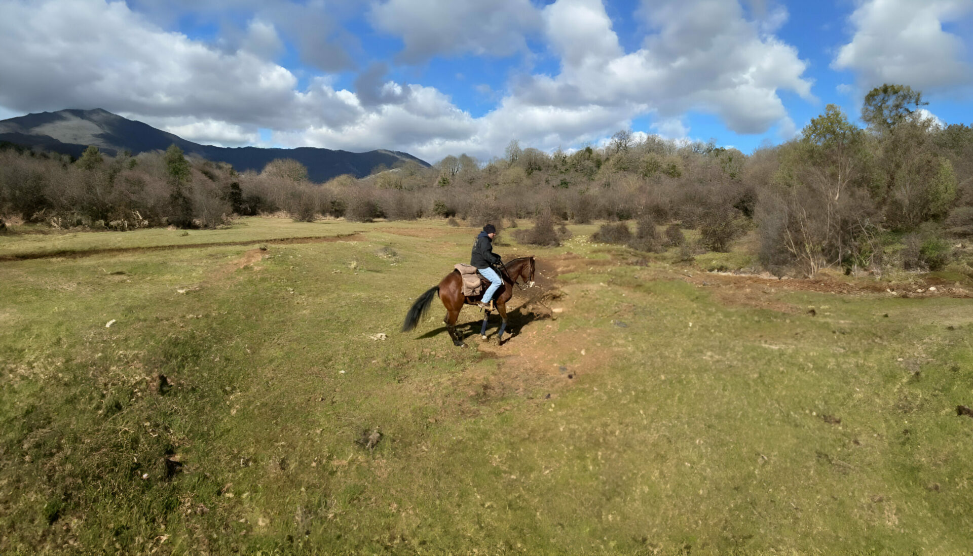 Horse Riding Anzio