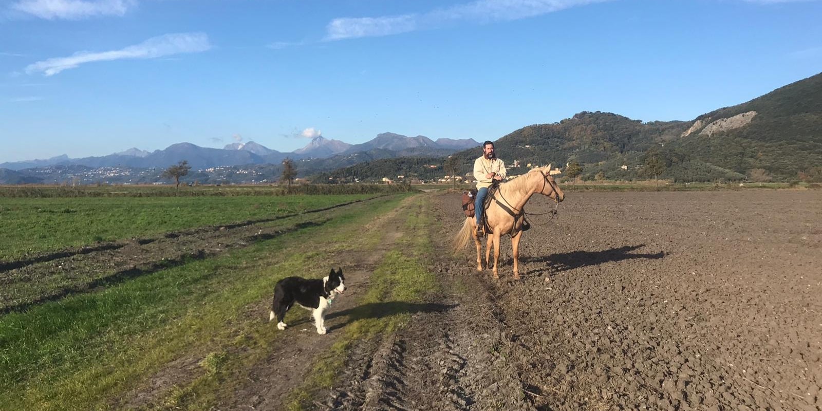 Horse Riding San Rossore | Starting from €0 | Freedome