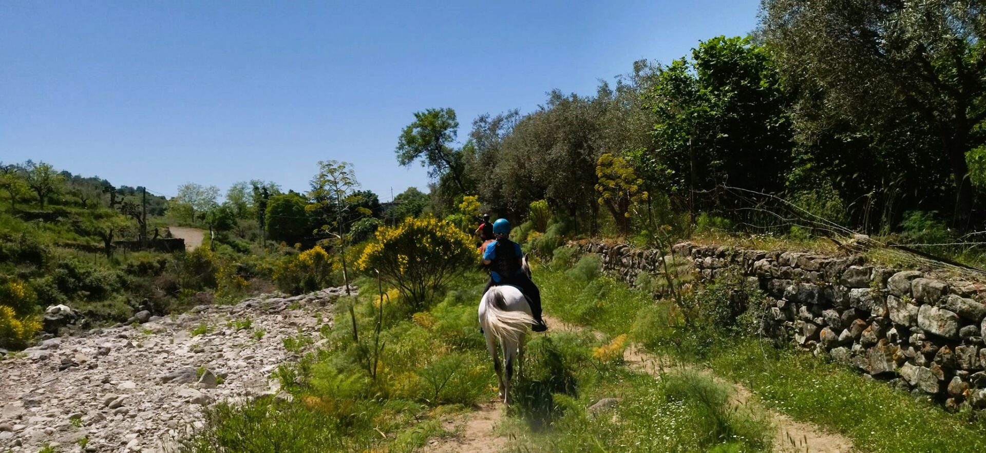Horse Riding Taormina