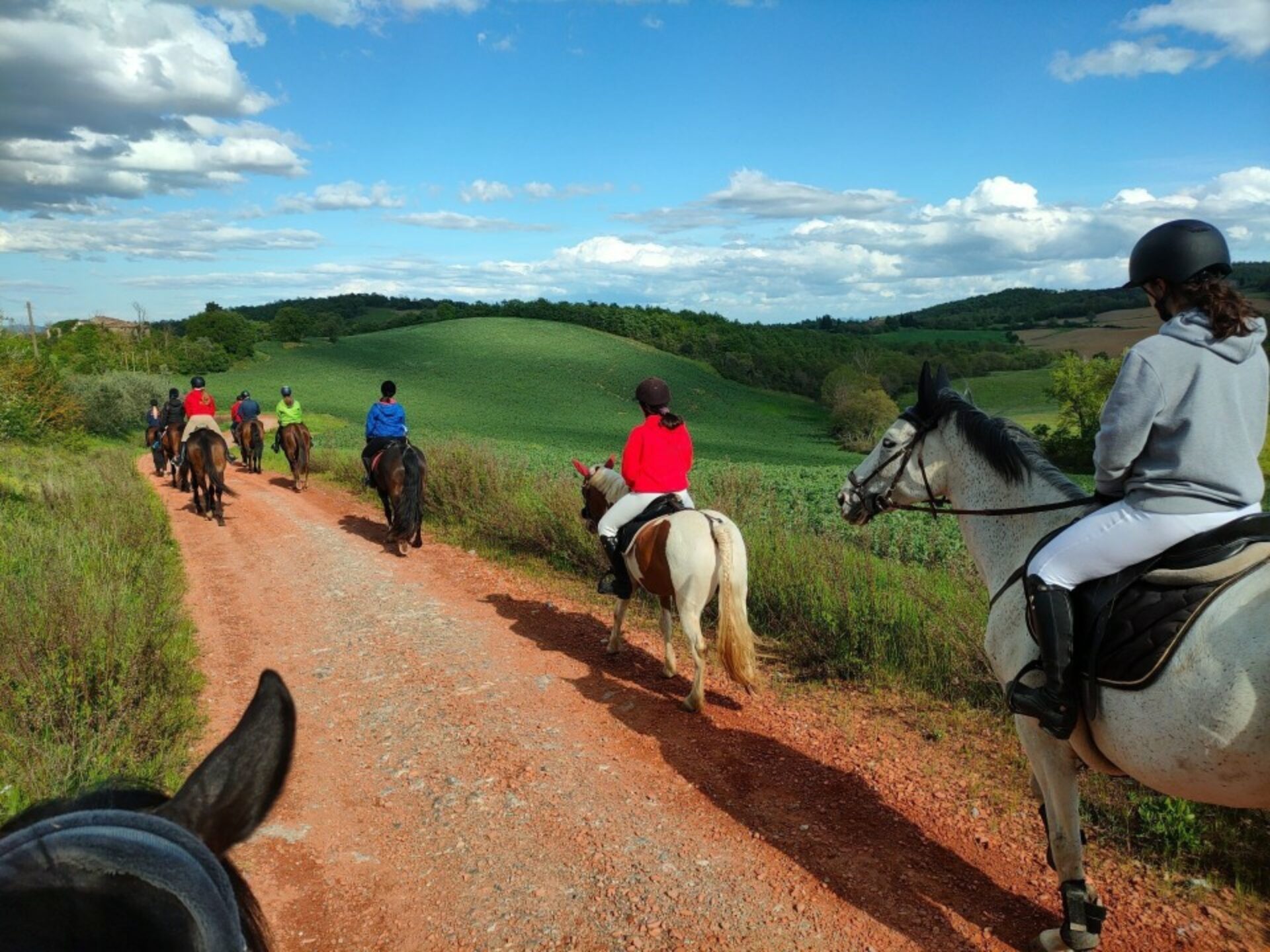 Horse Riding Val d’Orcia