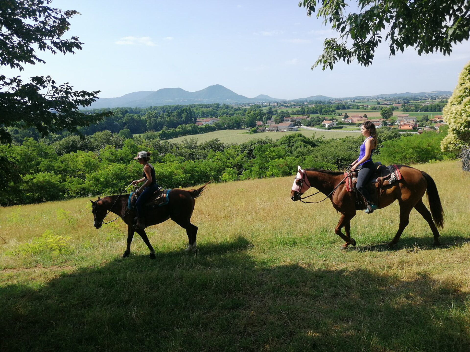 Horse Riding Vicenza