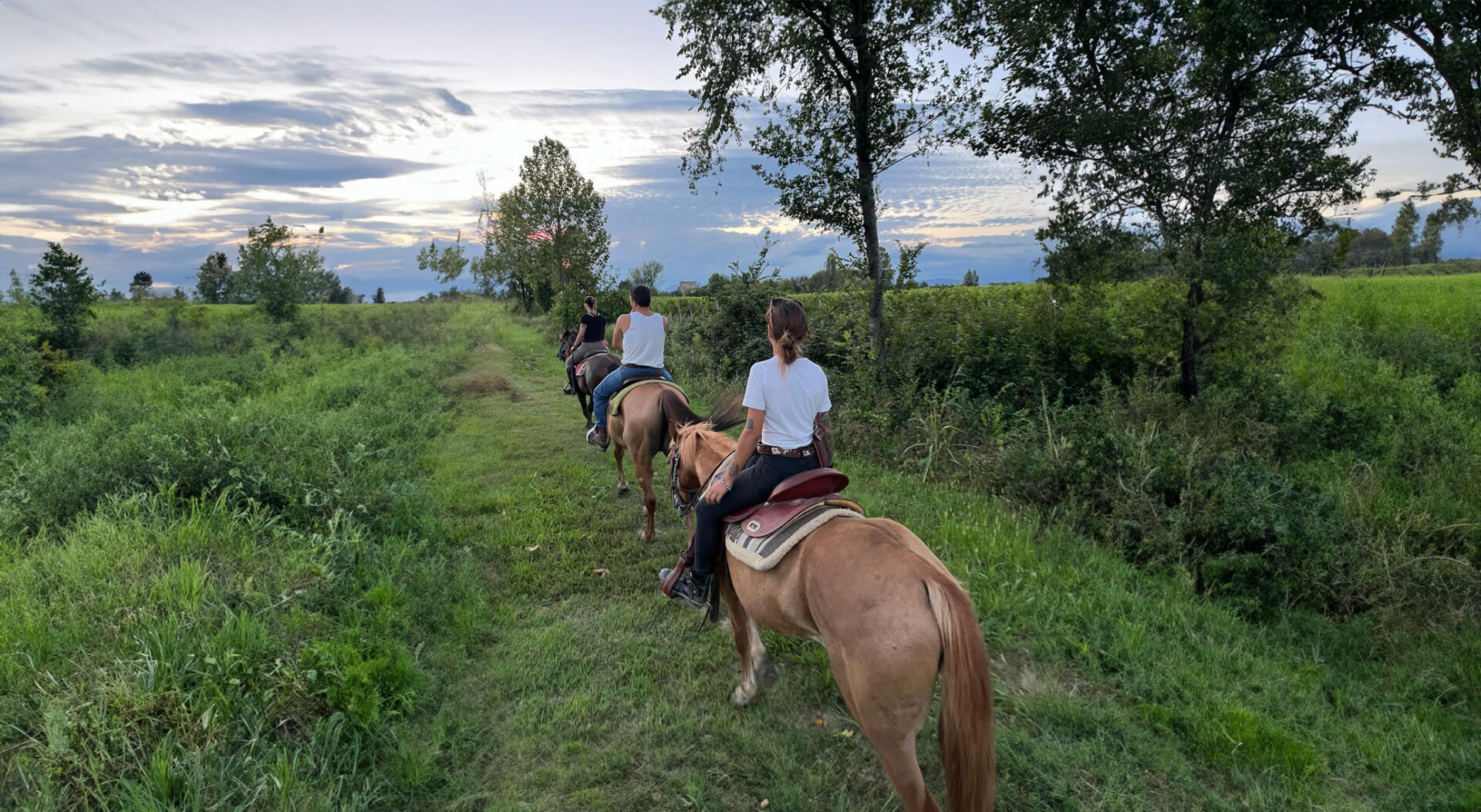 Passeggiate a cavallo Desenzano del Garda