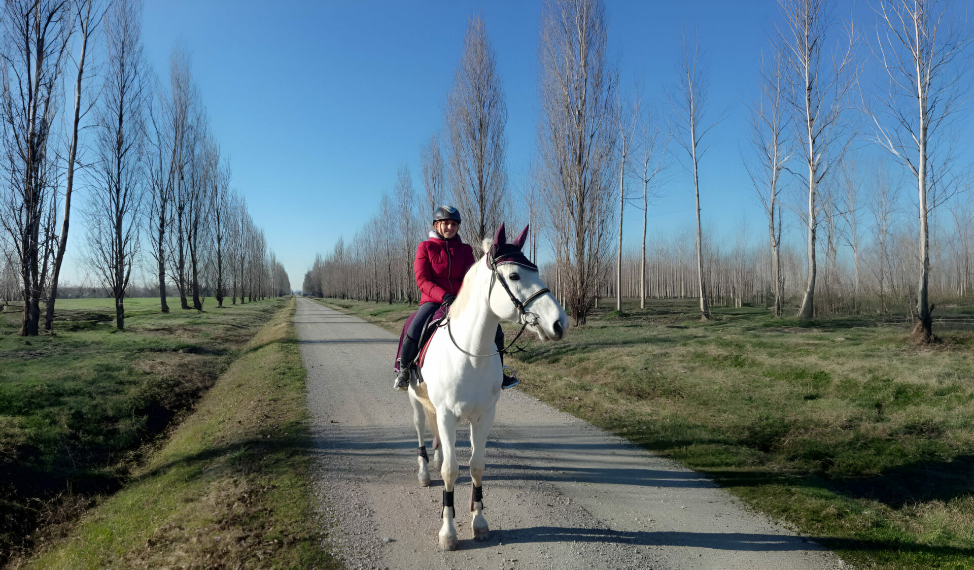 Passeggiate a cavallo Ferrara